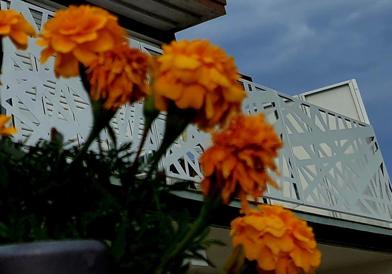 Villa Sunshine Baum Marina Extérieur photo